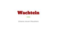 Wachtelprojekt